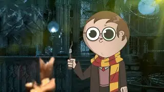 Harry Potter has concerns 
