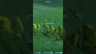 Goofy Ahh Korok