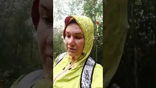 Лисова хатына. с.Соймы