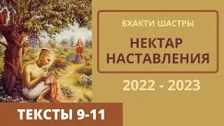 09 Текст 9-11 (Нектар Наставлений) 2023