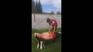 ЗОЖ тюмень мост Самсона