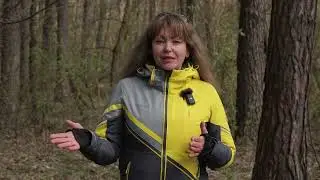 Сосни України: Факти, Міфи та Таємниці 🌲 ▶ Рослини рідного краю ▶ 1 Серія ▶ 6 соток