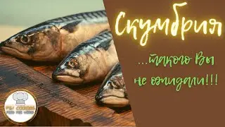 Бессовестно нежная скумбрия! #аппетитноенастроение #yummymood #рецепты #скумбрия