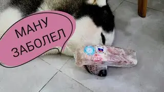 МАНУ ЗАБОЛЕЛ. ЦЕНЫ НА МОРЕПРОДУКТЫ (19-21.05.2023)