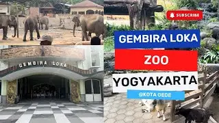 Kebun Binatang di Yogyakarta | Gembira Loka Zoo #yogyakarta #wisatayogyakarta #gembiraloka