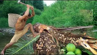 Find worms in coconut tree , Cooking worms coconut delicious