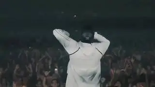 Party Thieves - Throwing elbows (Rick Remedy Remix)
