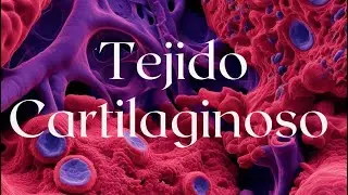 Clase de histología: Tejido Cartilaginoso PARTE 1