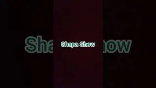 Shapa Show/шейно-воротниковый массаж