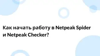 (2 в 1): Как начать работу в Netpeak Spider и Netpeak Checker?