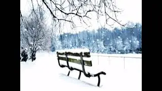 Snow Fall On Bench