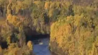 Massive Coal Mine Threatens Alaska Salmon