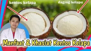 Ngak NYANGKA!! Ternyata ini Manfaat & Khasiat Kentos Kelapa Untuk Kesehatan || dr. Andi Septiawan