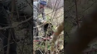 посадил новый дом, ответственно это...