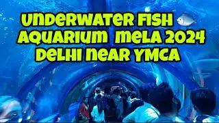 Underwater Tunnel Fish Aquarium 🐟 l Mela 2024  l Magic show #summer #mela2024 #magic #fishaquarium