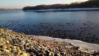 Парк Коломенское 12.12.2020
