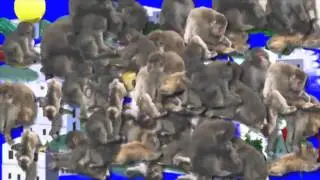 【UTAUカバー】キーウィ【水音キァル】