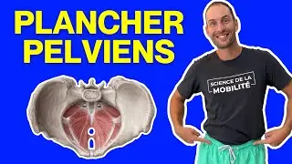 5 exercices pour le périnée