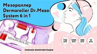 Комплектация мезороллера Dermaroller Dr.Mezo System 6 in 1 (720 игл, 1200 игл, 300 игл, 12 игл)