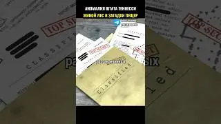 Аномалия в лесу