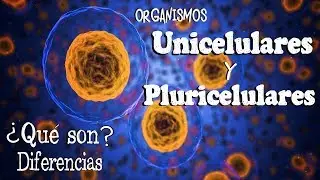 🌐 Organismos UNICELULARES y PLURICELULARES  [Fácil y Rápido] | BIOLOGÍA |