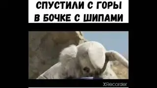 СПУСТИЛИ С ГОРЫ В БОЧКЕ С ШИПАМИ