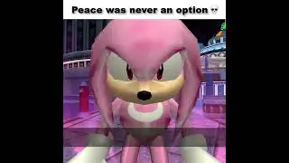 Knuckles Disturbs the peace 