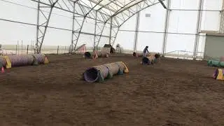 Novice Tunneler. Didn’t beat time.