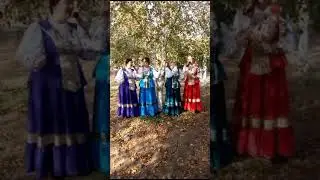 При долине куст калины