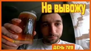 ||ДЕНЬ 729|| Семья приехала. Отжался 100 раз. Оккупированная пасека плохо перезимовала.