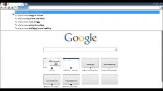 random Google serch video