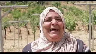 Against all Odds: Showcasing Sumūd (Steadfastness) Among Palestinian Farmers