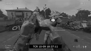 Me and a rooster in a 2v1 fight (DayZ)