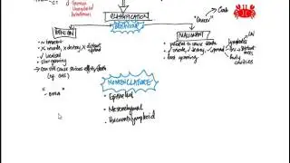 Neoplasia 1 Overview and Nomenclature
