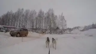 Суздальский луг 2016 - Софья Соколова