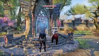 The Elder Scrolls Online