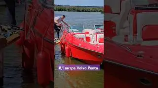 Красная ракета на старте Crownline 275BR #катер #яхта #брокераж #shortvideo #boat #bowrider