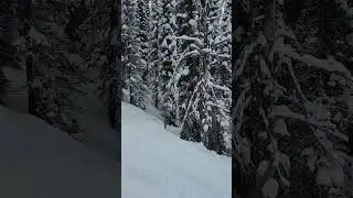 Upper Northwest.The Slots. Brundage. 3/8/23