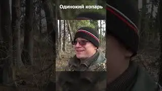 ЗВУКИ ЛЕСА, ЖИВАЯ ПРИРОДА РОССИИ #shorts