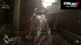 Goon Volatile Isn't Real. He Can't Hurt You. Dying Light 2