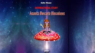 Книга Микродозы Мухомора. баба Маша. International Study