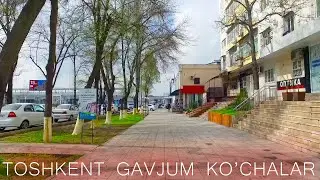 TOSHKENTDA AXVOL QANDAY-?  VIDEO