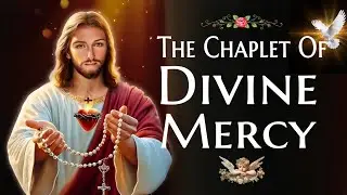 Divine Mercy Chaplet with the Litany of Divine Mercy | JESUS I TRUST IN YOU 🙏