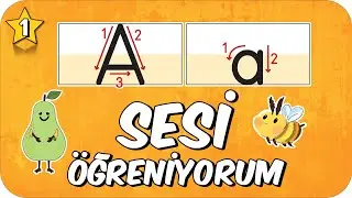 A Sesi Öğretimi 🐝 Okunuşu ve Yazılışı 🐙 1.Sınıf 