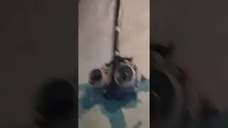 раритетный выключатель