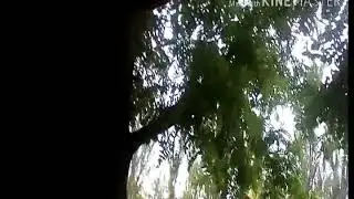 Влог