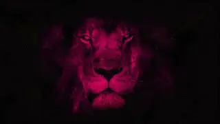 Adam H Rohit x Next Route - Mirror | Lion in Disguise Album #2