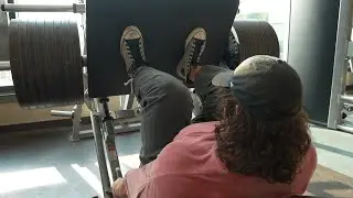 The Bulk Day 84  - Legs - Leg Press Is Back
