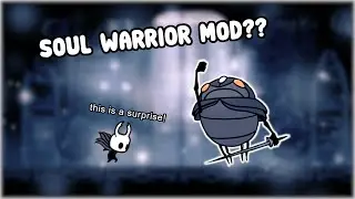 Radiant Soul Paladin