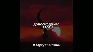 20 февраля 2024 г.